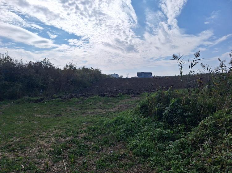 Teren intravilan Mogosoaia- 7 Loturi-Suprafata totala 5180 mp-Deschidere Lac - 4