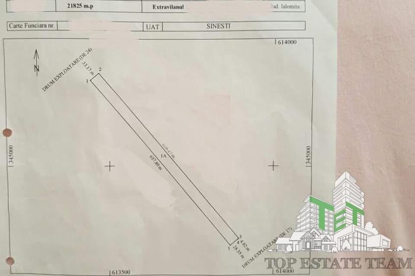 Teren  de vazare pt investitie, Sinesti, 4 eur / mp, 21000mp , Ialomita - 2