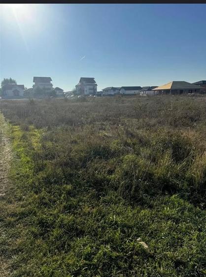 Teren 2 loturi de vanzare Magurele limita cu sectorul 5,90 euro mp - 4