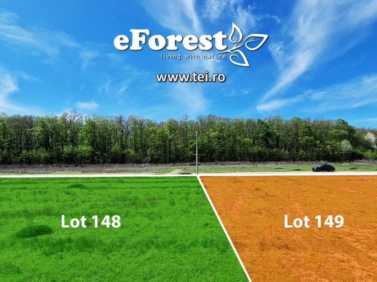Loturi de casă 720 - 900 mp, langă Pădure în eForest, acces asfaltat - 8