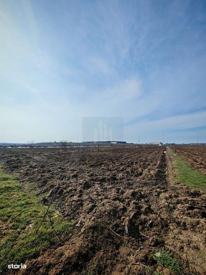 Teren de Vanzare Industrial Caciulati A3 - 3