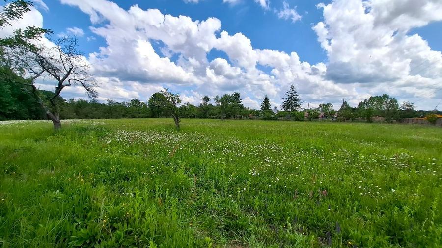 Casa Moraresti 3 camere parter si teren stradal intravilan 4522 mp - 13