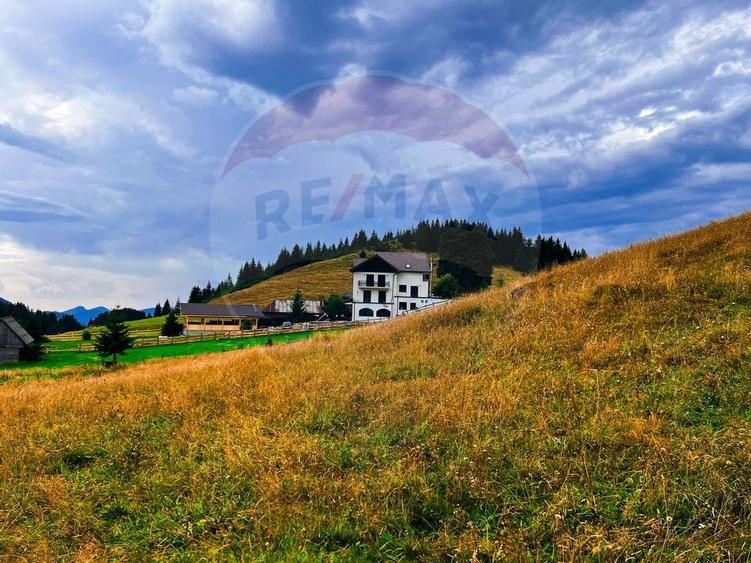 Teren de 7830mp de vanzare in Fundata! Comision 0% - 28