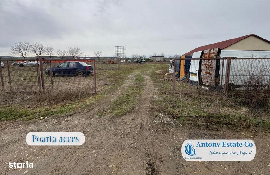 Hala de inchiriat, In Cauaceu - 6