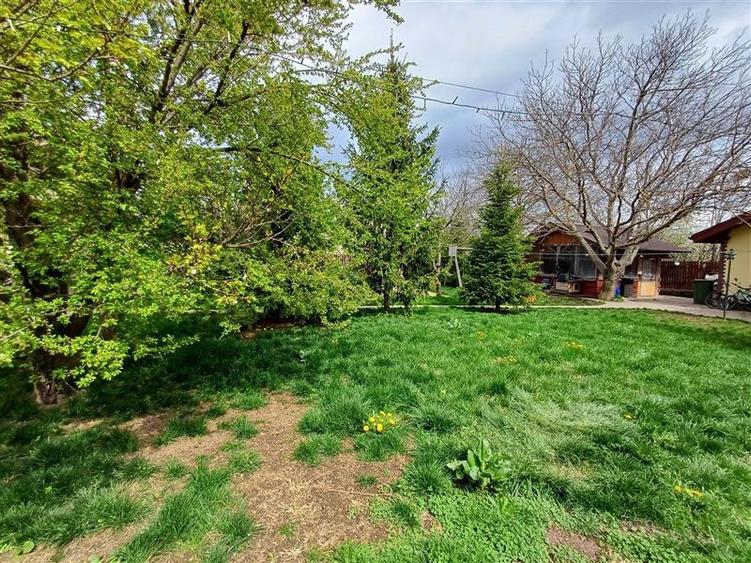 Casa 5 camere - teren 1400mp - Magurele - Str. Fecioarei - 3