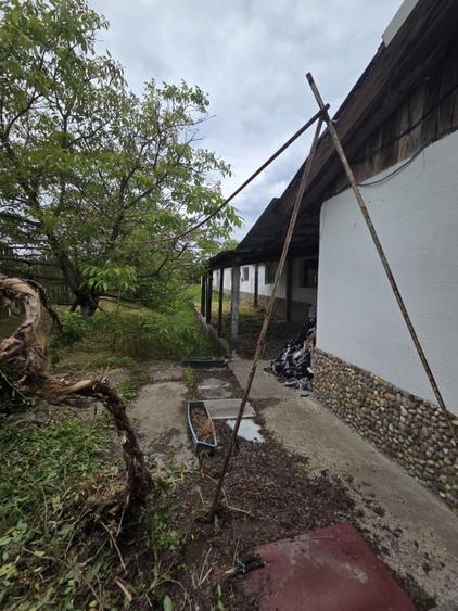 Teren cu hale de vanzare sau inchiriere ideal  investitie - Medies - 2