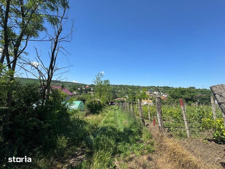 Teren de 2495 mp, în Rediu