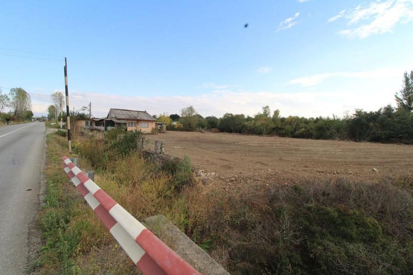 Teren Construcții intravilan de 3169 mp, în Tetila
