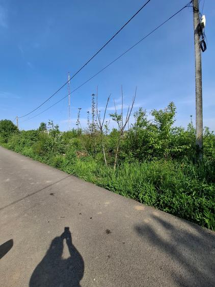 Teren Construcții intravilan de 3300 mp, în Vlădiceasca