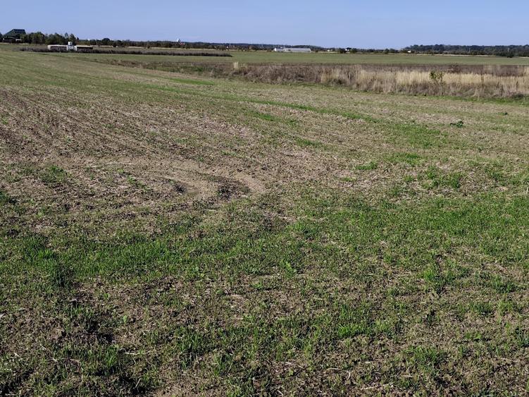 Teren agricol extravilan de 5054 mp, în Săbăreni
