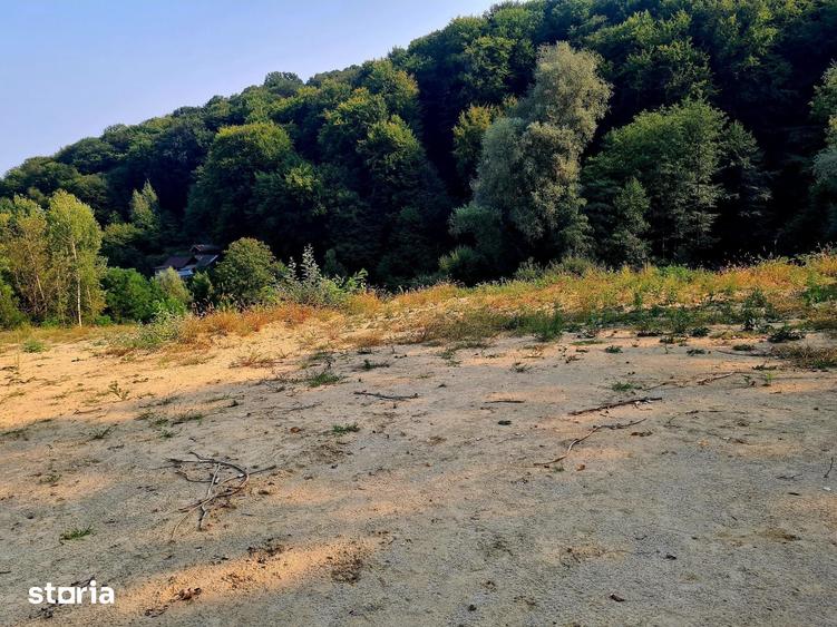 Teren de 453 mp, în Bujoreni