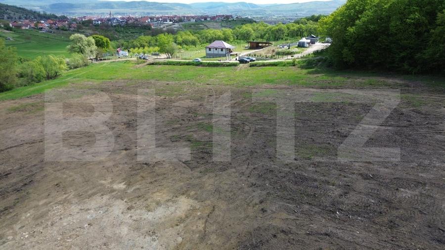 Teren Construcții extravilan de 15100 mp, în Aiud