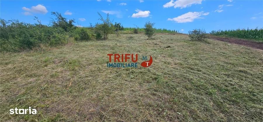 Teren de 500 mp, în Ciugud