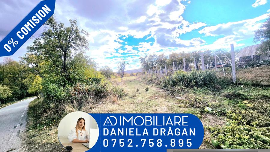 Teren intravilan 2905 mp – comuna Bălănesti jud.Gorj - 1