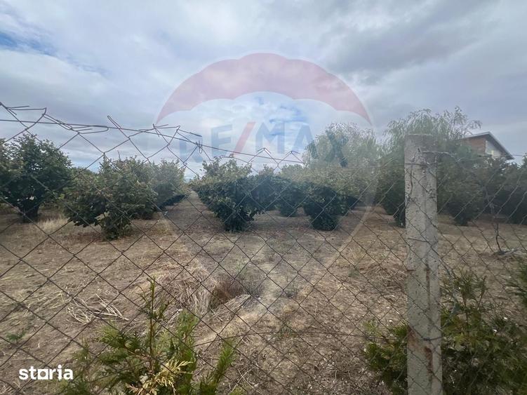 Teren de 1300 mp, în Câmpineanca