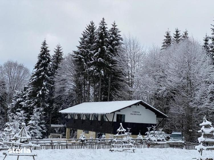 Casă cu 5 camere cu Teren 625 Mp în Valea Doftanei