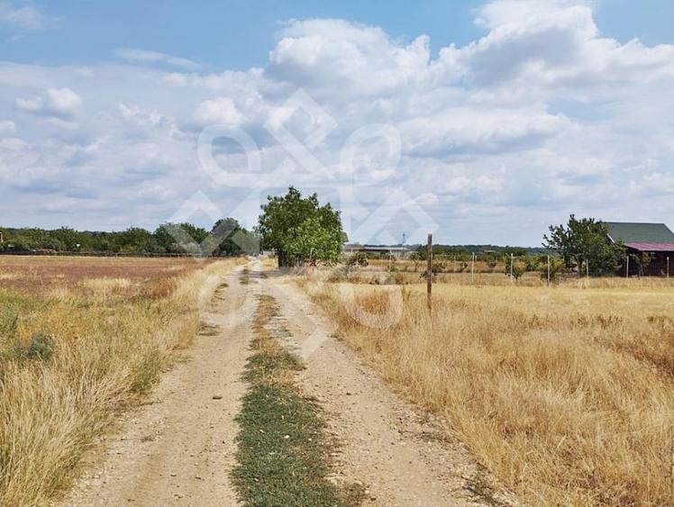 Teren intravilan de vanzare, 3000 mp in Gepiu, Bihor - 2