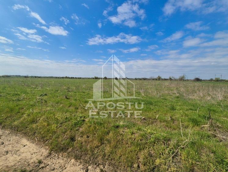 Teren Construcții intravilan de 10900 mp, în Sud