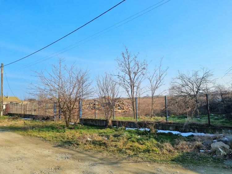 Teren Construcții intravilan de 7400 mp, în Sibioara
