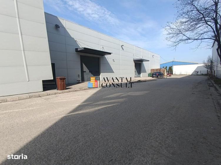 Inchirieri Hala +birouri 2500 mp Militari A1 - 3