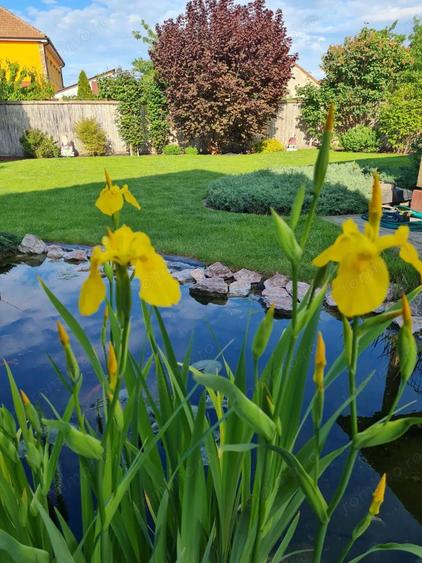 Casa individuala de vanzare cartier Gradi?te - 6