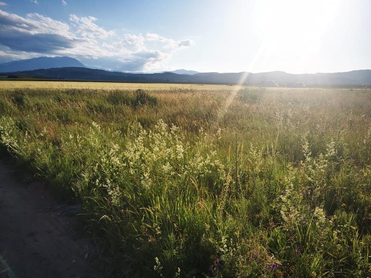 Teren intravilan cu priveliste Cristian - 2