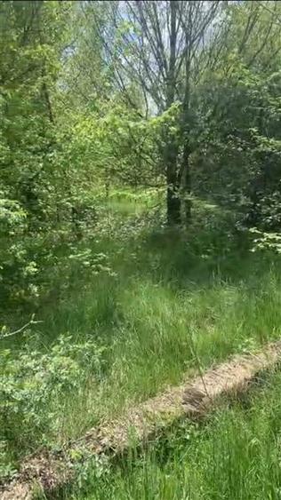 Teren intravilan 500 mp - Ganeasa - 4