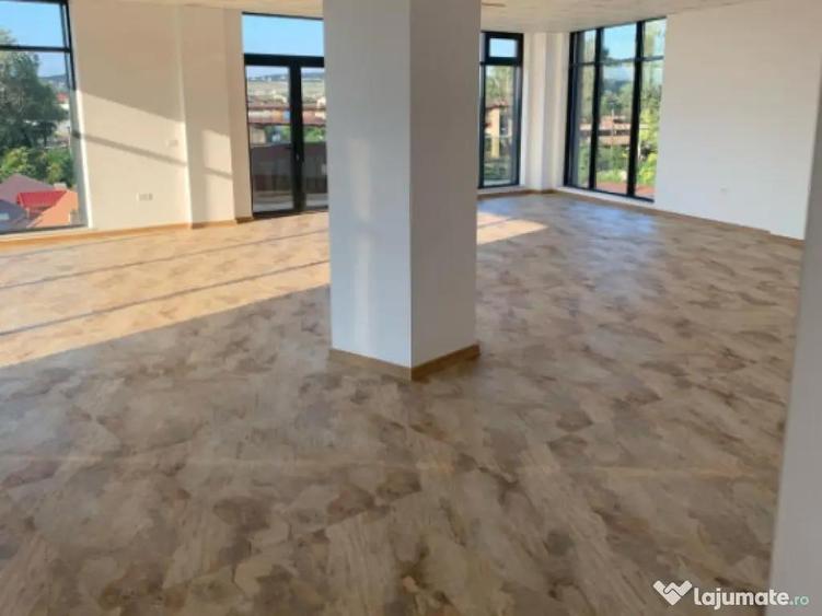 Spatiu comercial P+3, 385 mp suprafata utila, Rovine - 4