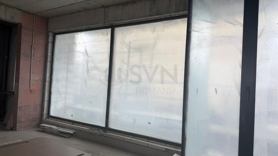 REC3001687 Spatiu comercial STRADAL BLVD PIPERA - 5