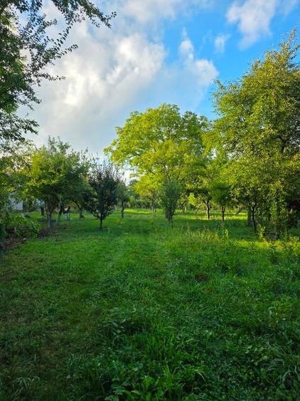 Teren 2500 mp – POTENȚIAL BUSINESS / DEZVOLTARE – Breaza - 3