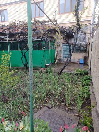 Coiciu-Baba Novac-Casa 4 cam teren 215 mp d-15 m liberă preț 150.000 euro - 3