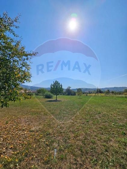 Casa / sura Trestia jud.MM, in suprafata de 116mp / 4000mp de teren - 7