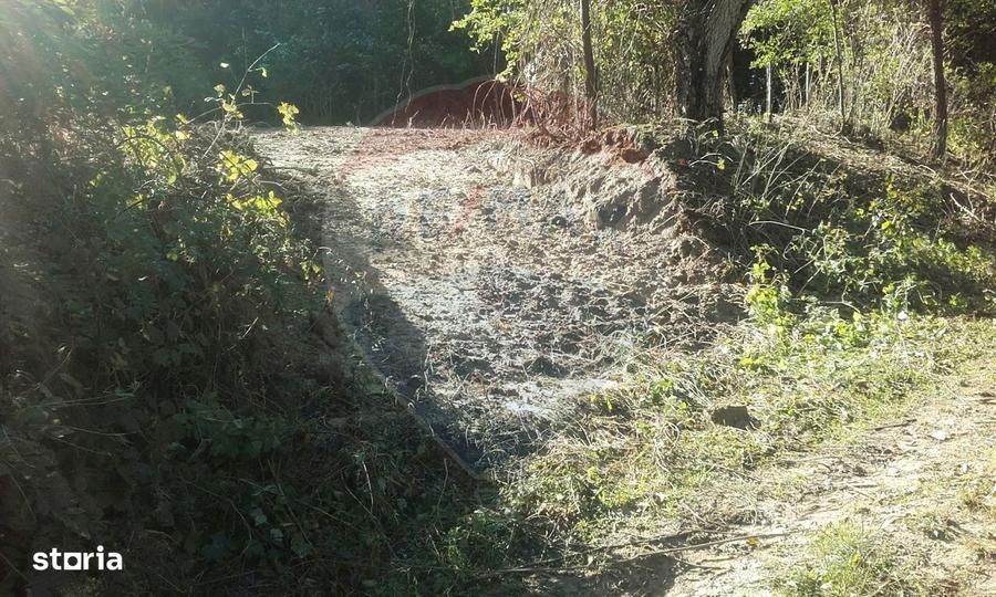 Teren 962.79mp Bujoreni / Strada Stejarului - 4