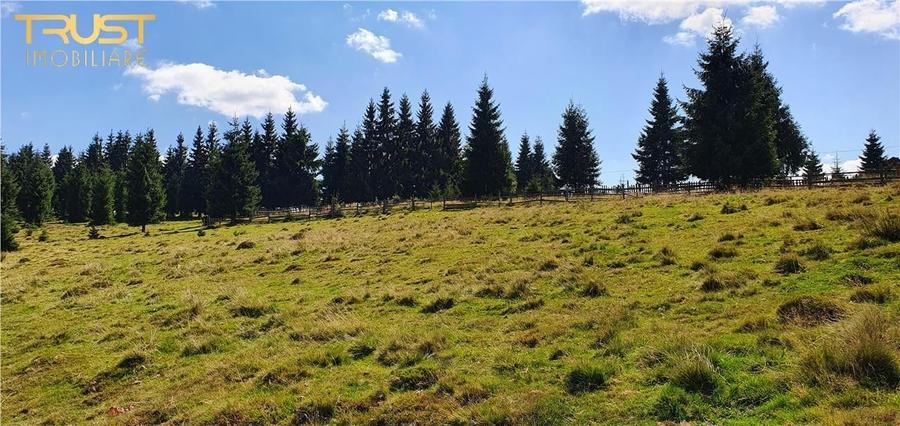 Oportunitare | Teren 1350 mp cu PUZ | Belis - 10