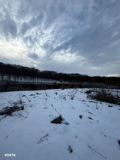 Teren intravilan de vanzare cu deschidere la lac, Branesti - 6