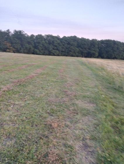 Teren extravilan 6200 mp - 2