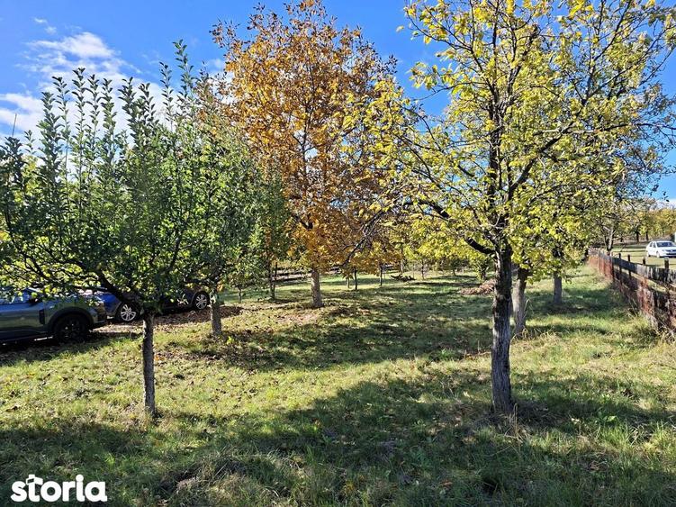Priveliste de vis, 5 camere, anexe, 7000 mp, de mutat, comision 0%! - 12