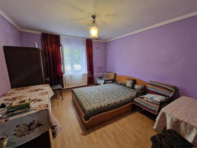 Sosdea 2 Case cu Teren 4657 Mp. - 6