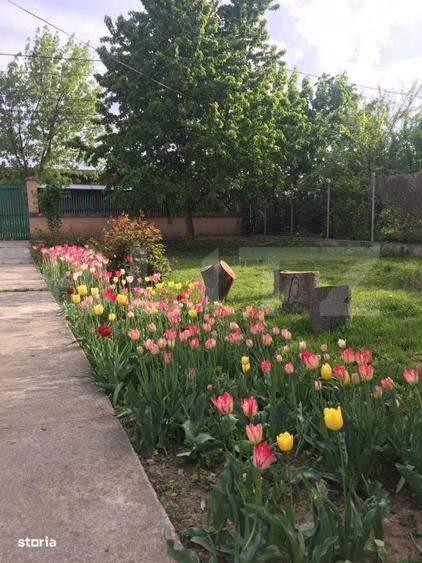 Oaza de Liniste in Inima Orasului: Proprietate Exclusivista cu 2.700 m - 8