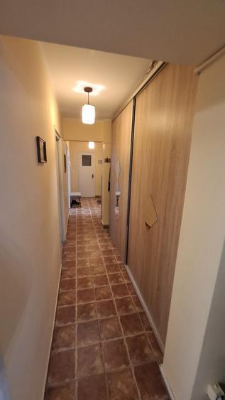 Piata Minis - Barajul Rovinari - 12