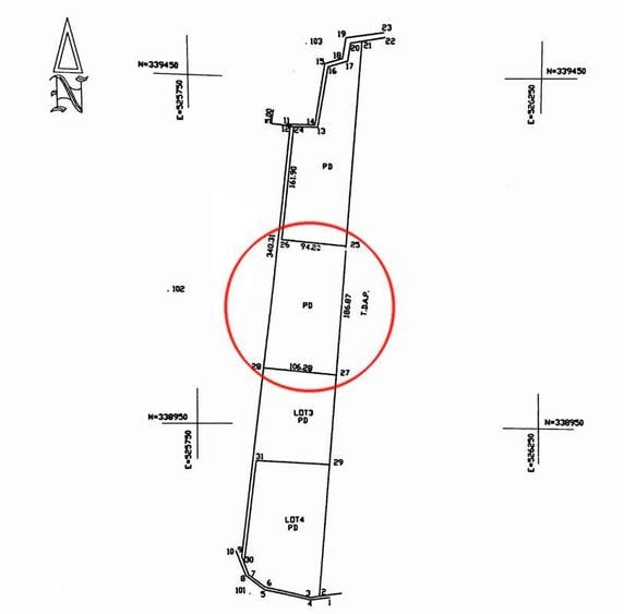 EXCLUSIVITATE: 20.000 mp teren impadurit langa Vi?ina, Dambovi?a - 4