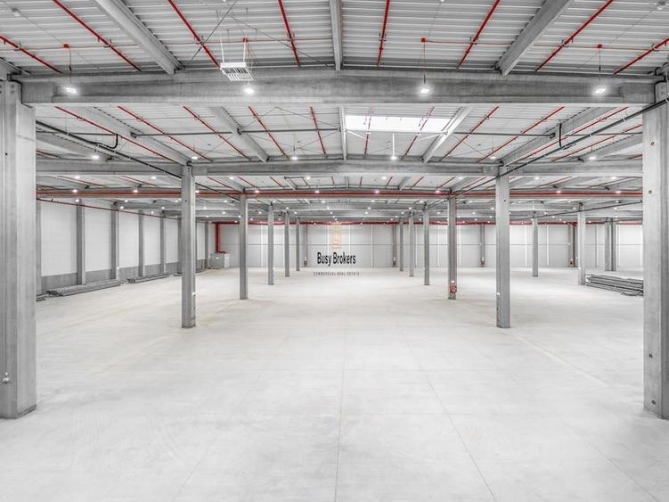 Spatiu Industrial - 4300 mp - Logistica - Depozitare - Distributie - 3