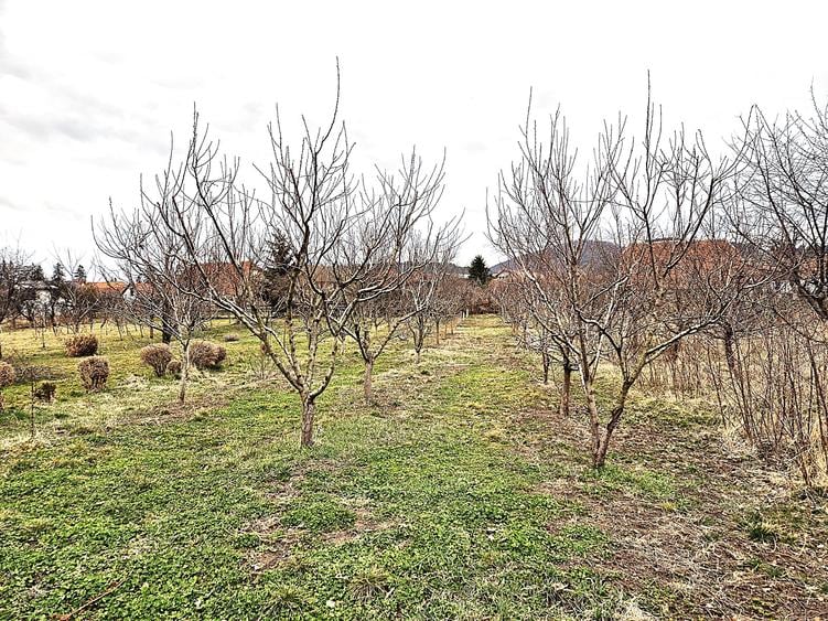 OPORTUNITATE! Casă ultracentrală Sânpetru + teren 1167 mp | Lângă biserică - 10