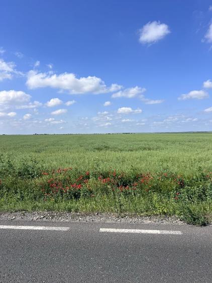 Vand teren extravilian 1Ha - 2