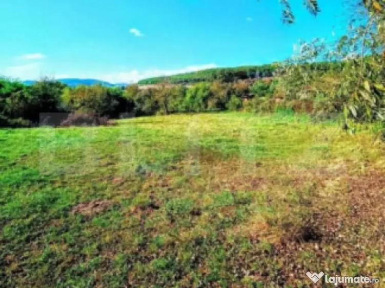 Teren INTRAVILAN cu posibilitate de parcelare ZONA DEOSEBIT? - 1