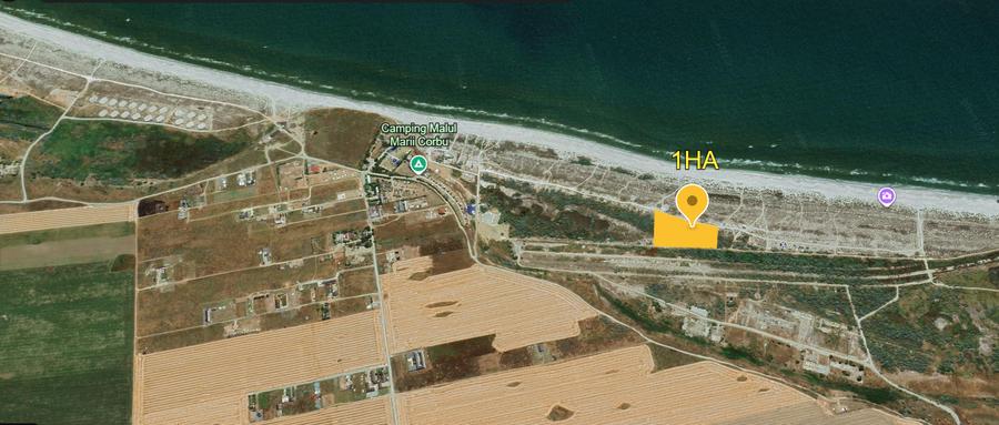 CORBU - 4000 MP PRIMUL RAND LA MARE - - 4