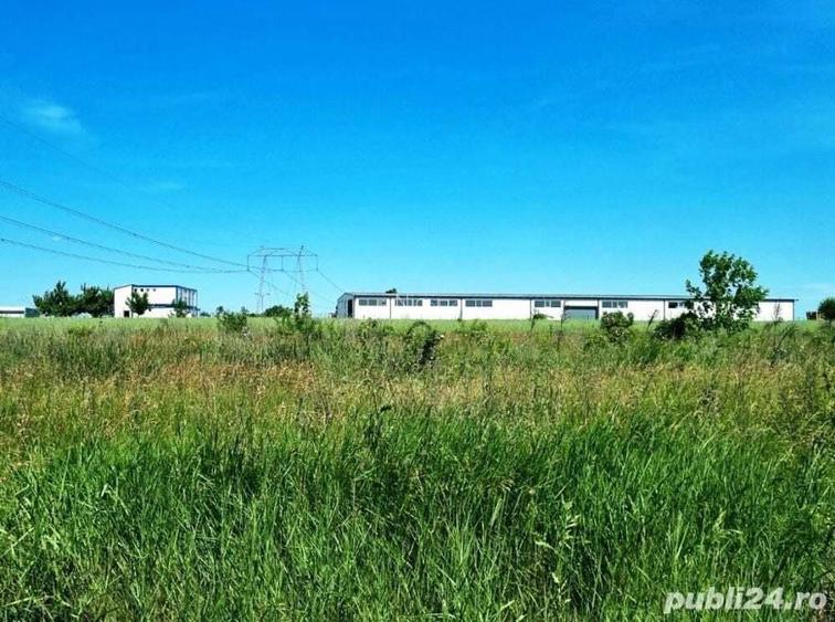 Vanzare Teren industrial Cernica Tanganu