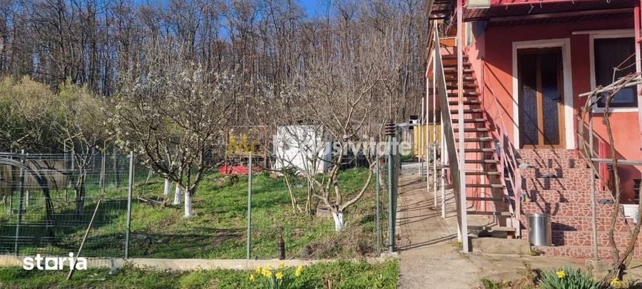 Casă cu 3 camere cu Teren 1558 Mp în Dănești