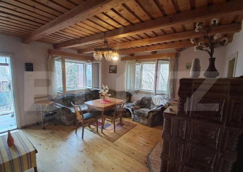 Cabana in colibita - 3