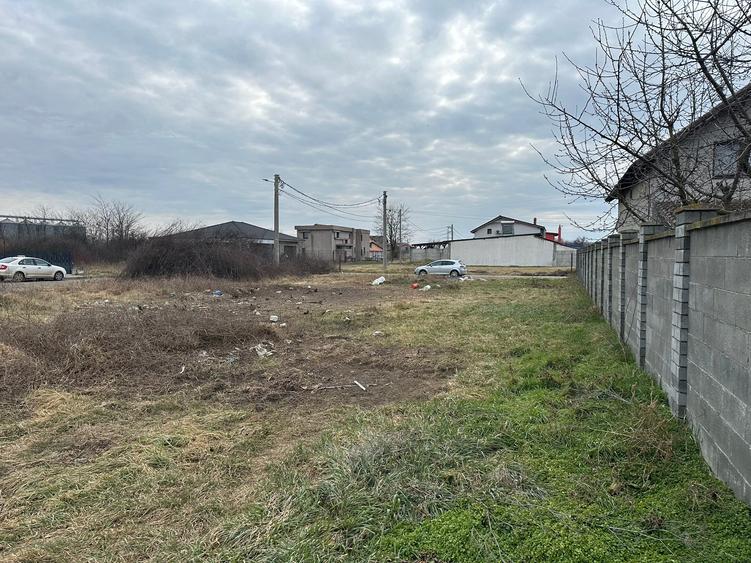 Teren intravilan 842 mp - Sacalaz - 5